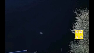 这也太魔性了