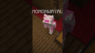 ATUN PRANK MOMON DIGAME HIDE AND SEEK MINECRAFT !! Feat @sapipurba #shorts #short