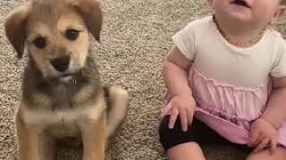 After the couple had a daughter, they decided to raise a puppy to accompany them as they grew up.