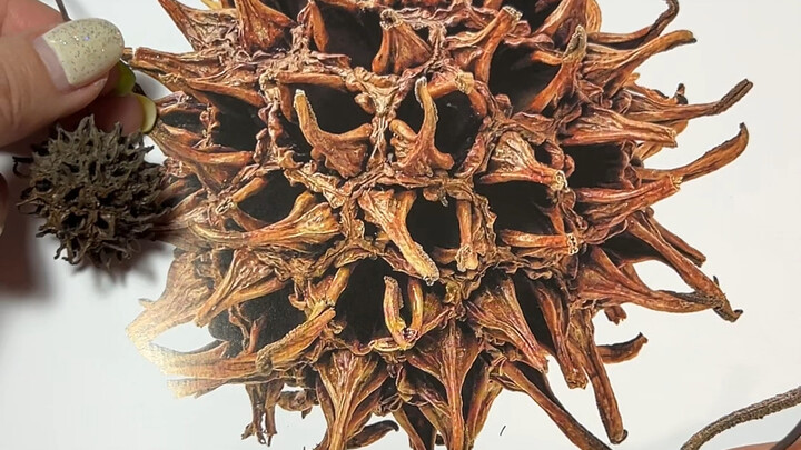 Từ hình ảnh thành hiện thực | Kích thước bạn không ngờ tới