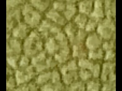 I picked up a sycamore leaf outside that’s even bigger than my phone—but my camera has such high res