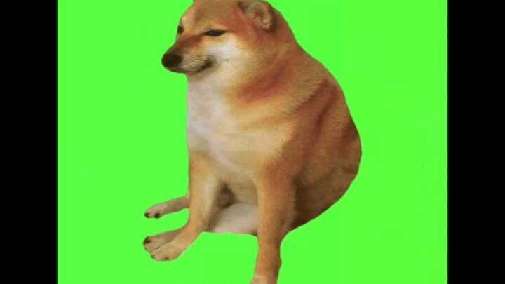 cheems green screen material, no watermark!!!