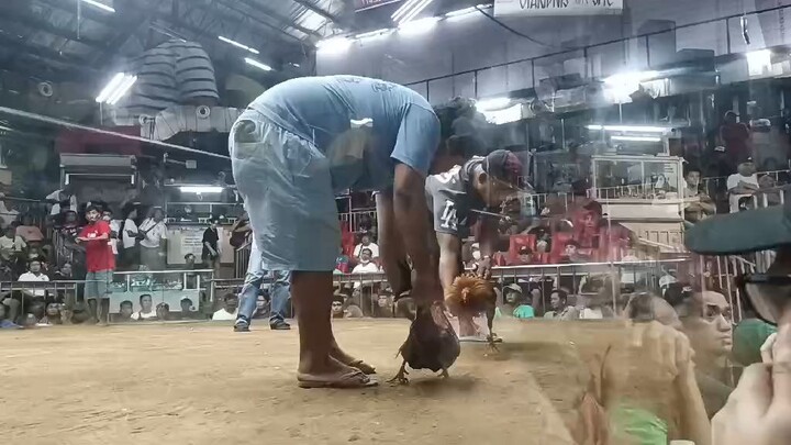 Dancing Gilmore Hatch Light Side kaso patay Din Naka last Card pa ung bulik