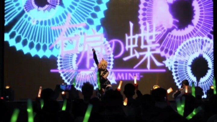 I actually saw Kagamine Rin and Len at the concert—cheering them on live made me cry with emotion [H