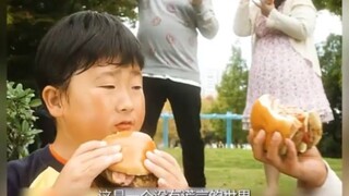 所有人只能说真话的世界，会是什么样？《世界奇妙物语》
