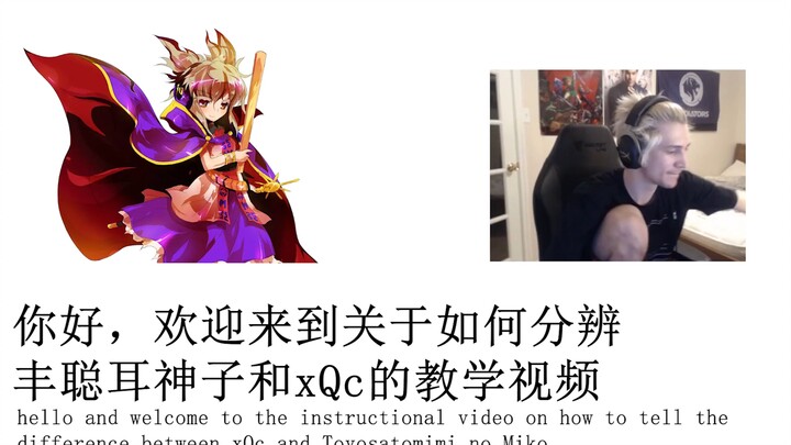 如何分辨xQc和丰聪耳神子