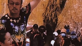 《风骚律师》索尔古德曼打入矶鹞渡内部视频曝光