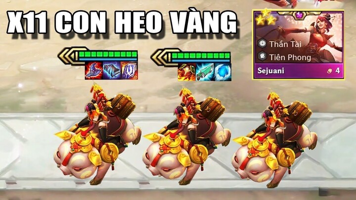 X11 CON HEO VÀNG BẬT CHẾ ĐỘ NGỦ ĐÔNG VỚI SEJUANI 3 SAO + TRYN 3 SAO - CÂN HẾT