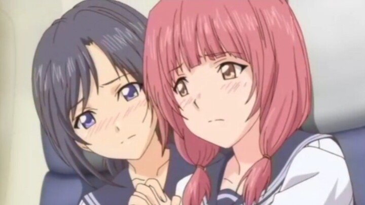 A different kind of desert island survival! The male protagonist and a group of girls crashed into a