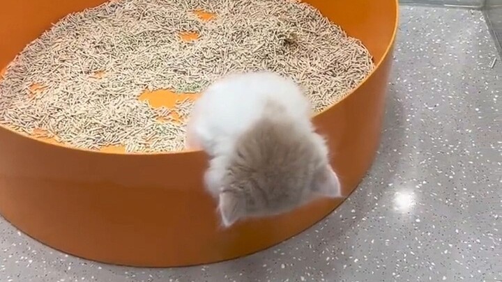 Go to the bathroom before you sleep, seriously!!!