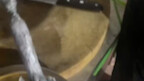 الجري في كلا الاتجاهين