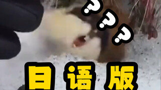 《 卖 内 内 的 鼠 鼠 增 加 了 》