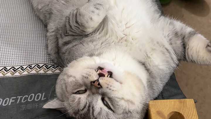 Dazhuang fell off while sleeping.