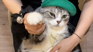 Once you wear a green hat, no one will love you!