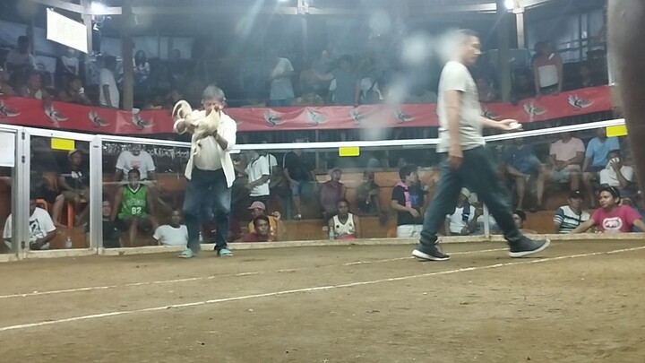 4th Fight loss/5Cock's Derby
