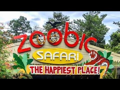 Zoobic Safari | Family Outing