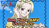 [One Piece AMV]Ussop Arc / Listen, Protect Kaya And This's the Order From the Captian_1