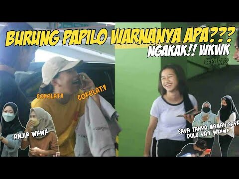 NGAKAK!!! NANYA KE CEWEK BURUNG PAPI-LO WARNANYA APA?? | Part 2