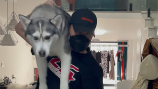 我们爷们都这么遛狗