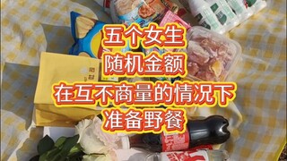 What will happen if five girls randomly give themselves money and plan a picnic without consulting e