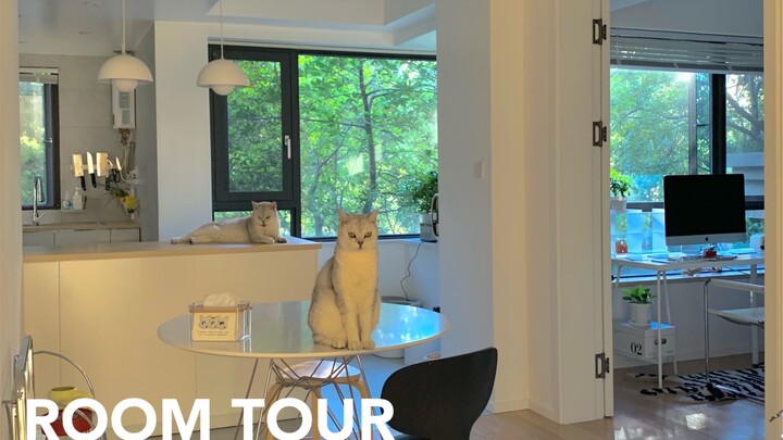 97㎡ quay một cú máy liên tục｜Sống giữa rừng là cảm giác như thế nào
