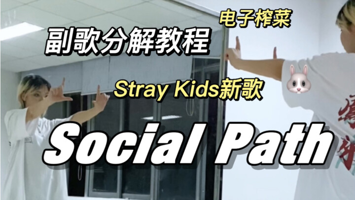 【Social Path教程】Stray Kids新曲副歌喊拍分解教学｜镜面翻跳（电子榨菜废话连篇版）
