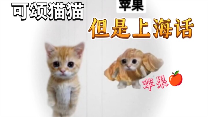 Kucing croissant, tapi apel dalam bahasa Shanghai
