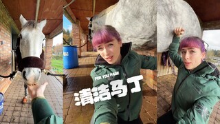 原来骟马需要清洁马丁‼️