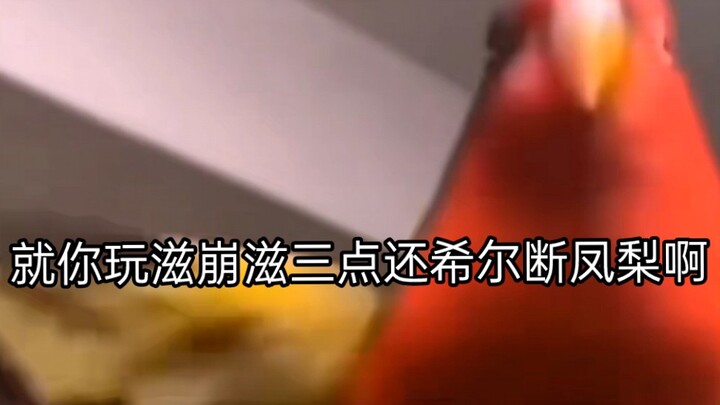 There are people in class who play Apex Legends.