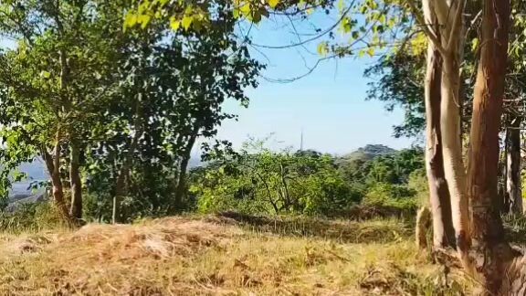 macmacmani in tiktok...