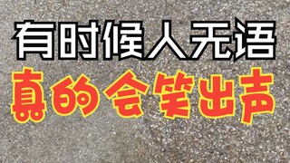 无语到一定程度，真的会笑出声来！