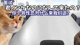 【熟肉】在求职时被南桐片制作公司收下的故事（面试篇） | 猫meme