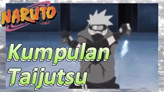 Kumpulan Taijutsu