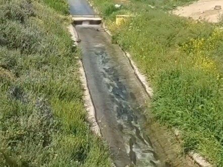 This little creek is acting weird.