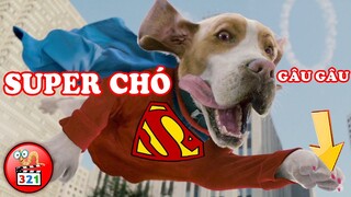 HÁ HỐC MỒM Với 3 Con Vật Có Siêu Năng Lực Bá Đạo HÀI HƯỚC Nhất | 3 Animals With Super Powers