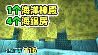 One in ten thousand chance: 1 ocean temple and 4 sponge houses in MC1.18 Survival 116