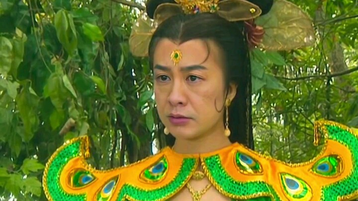 【安欣x高启强】狂飙版 孔雀公主！