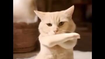 si oyen dance.🤣🤣