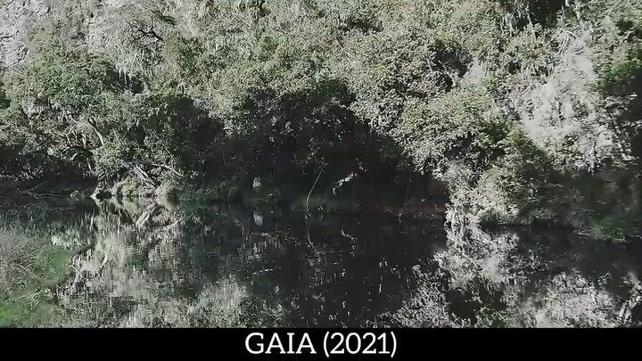 Gaia 2021 Movie explained