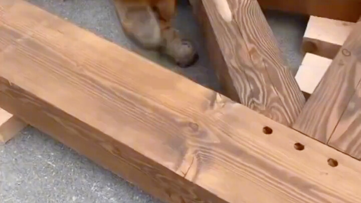 Seemingly bulky, but actually incredibly sturdy—mortise-and-tenon craftsmanship