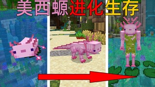 MC我变成了美西螈？吃小鱼就能进化！每次进化还能解锁技能！我的世界Minecraft
