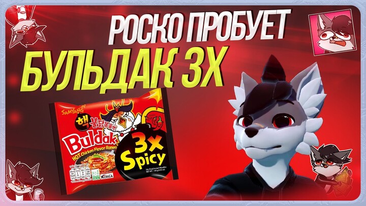 🐺 Роско пробует Будьдак 3x Spicy 🍜🍴