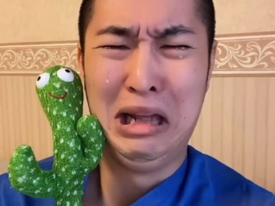 Sagawa Ai is hilarious and will heal your sadness.