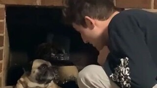 After getting drunk, my boyfriend came home and poured out his heartfelt emotions to the dog... Dogg