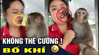 Tổng hợp clip "HÀI HƯỚC" 'HÀI ĐỘNG VẬT' không cười không lấy tiền -  P15| Góc Lầy Lội