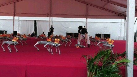Pertunjukan anjing robot yang berantakan, pada akhirnya tetap harus dibantu oleh manusia