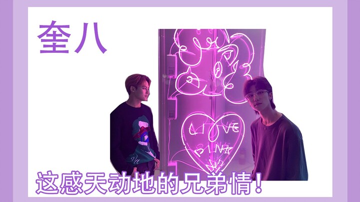 【Seventeen】【Kui Ba】Tổng hợp ngọt ngào 2019.9-2020.2