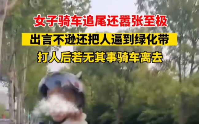 A woman riding a bike caused a rear-end collision and then acted unreasonably and outrageously, ulti