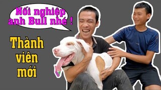 Sư Phụ @Săn Bắt Ẩm Thực Vùng Cao Mừng Rơi Nước Khi Nhận Món Quà Từ Sinh 09 | Pitbull Dog