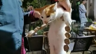我就吃了，你报警吧！